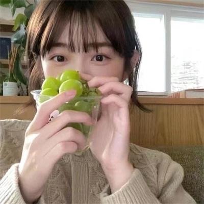 廉政风云 烟幕